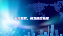 發現白蟻,請勿擅自處理