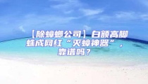 【除蟑螂公司】白額高腳蛛成網紅“滅蟑神器”,靠譜嗎?
