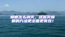 蟑螂怎么消滅,這些滅蟑螂的方法更全面更有效!