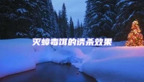 滅蟑毒餌的誘殺效果