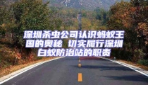 深圳殺蟲公司認識螞蟻王國的奧秘 切實履行深圳白蟻防治站的職責