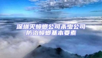深圳滅蟑螂公司殺蟲公司防治蟑螂基本要素