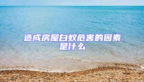 造成房屋白蟻危害的因素是什么