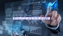 白蟻的種群控制原理及方法