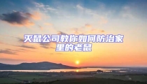 滅鼠公司教你如何防治家里的老鼠