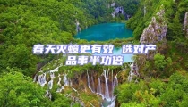春天滅蟑更有效 選對產品事半功倍
