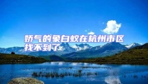 嬌氣的象白蟻在杭州市區找不到了