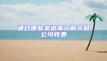 通過哪些渠道來了解滅鼠公司收費