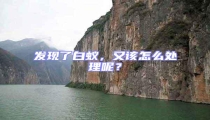發現了白蟻,又該怎么處理呢?