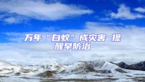 萬年“白蟻”成災害 提醒早防治