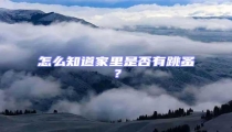 怎么知道家里是否有跳蚤?