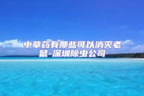 中草藥有那些可以消滅老鼠-深圳除蟲公司