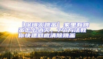 【深圳滅跳蚤】家里有跳蚤怎么消滅,7個方法教你快速徹底清除跳蚤