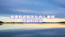 家里有老鼠怎么辦?家庭滅鼠好方法