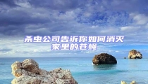 殺蟲(chóng)公司告訴你如何消滅家里的蒼蠅