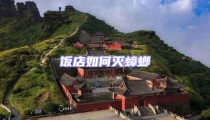 飯店如何滅蟑螂