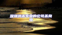 深圳消殺專業的公司殺臭蟲