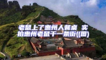 老鼠上了惠州人餐桌 實拍惠州老鼠干一條街((圖)