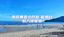 雨后黃昏少開(kāi)窗 警惕白蟻入侵愛(ài)物