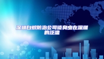 深圳白蟻防治公司談臭蟲在深圳的泛濫