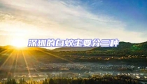 深圳的白蟻主要分三種