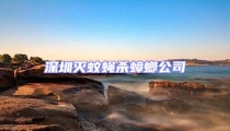 深圳滅蚊蠅殺蟑螂公司