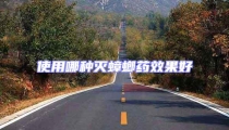 使用哪種滅蟑螂藥效果好
