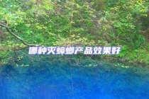 哪種滅蟑螂產品效果好