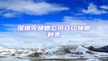 深圳滅蟑螂公司介紹蟑螂種類