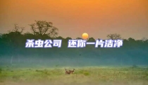 殺蟲公司 還你一片潔凈