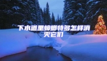 下水道里蟑螂特多怎樣消滅它們