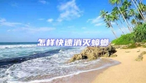 怎樣快速消滅蟑螂