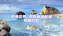 滅蟲公司 幫你解決起居隱藏白蟻