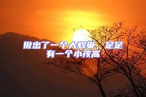 揪出了一個大蟻巢，足足有一個小孩高