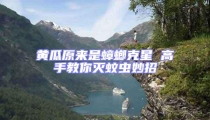 黃瓜原來是蟑螂克星 高手教你滅蚊蟲妙招