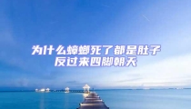 為什么蟑螂死了都是肚子反過來四腳朝天