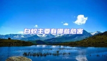 白蟻主要有哪些危害