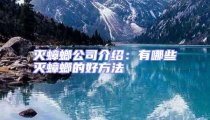 滅蟑螂公司介紹:有哪些滅蟑螂的好方法