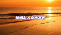 蟑螂與人親密不見