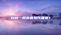 白蟻一樣危害現代建筑!