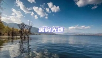 黑胸大蠊