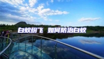 白蟻紛飛 如何防治白蟻