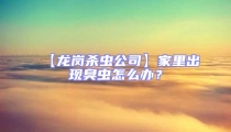 【龍崗殺蟲公司】家里出現臭蟲怎么辦?