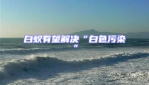 白蟻有望解決“白色污染”