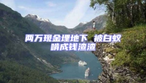 兩萬現金埋地下 被白蟻啃成錢渣渣