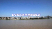 公共區域成防蟻盲點
