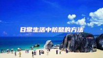 日常生活中防鼠的方法