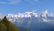 又是老鼠惹的“火”!