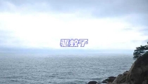 驅蚊子