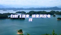 白蟻飛進家 啃家具咬電線